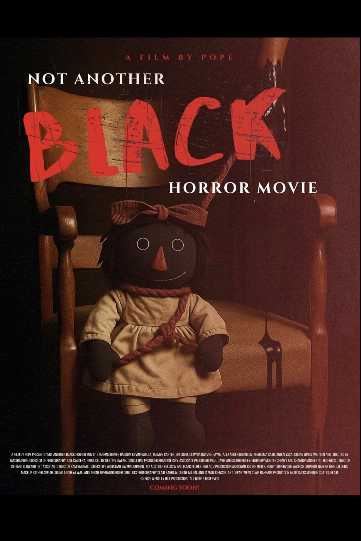 Not Another Black Horror Movie