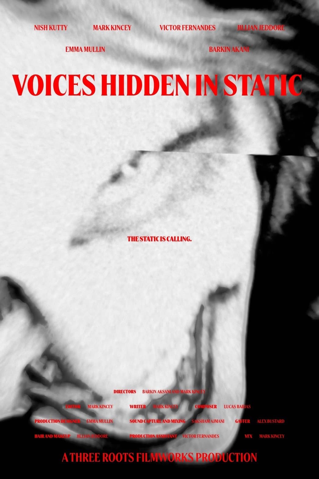 Voices Hidden in Static