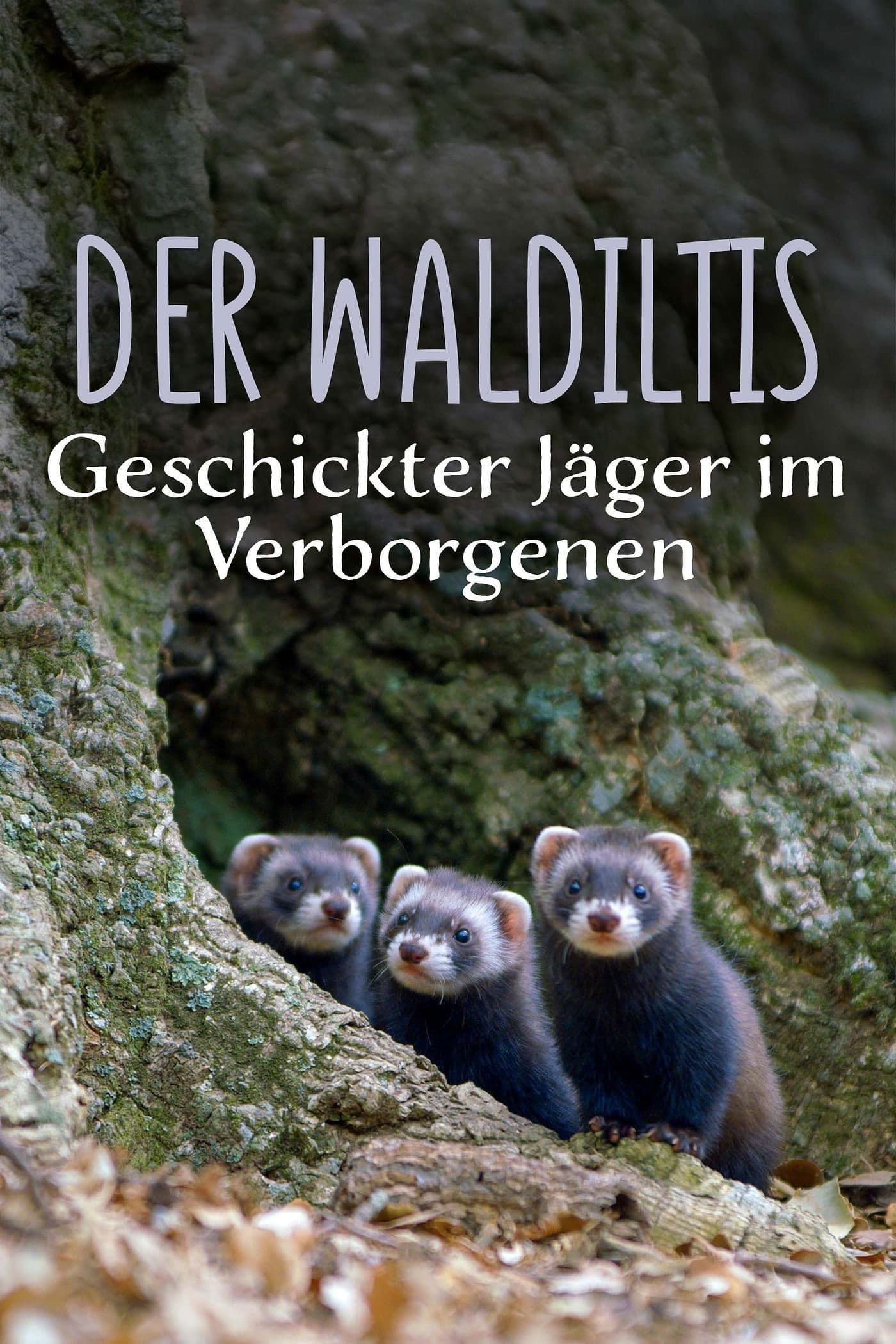 Polecat – Europe’s Relentless Hunter