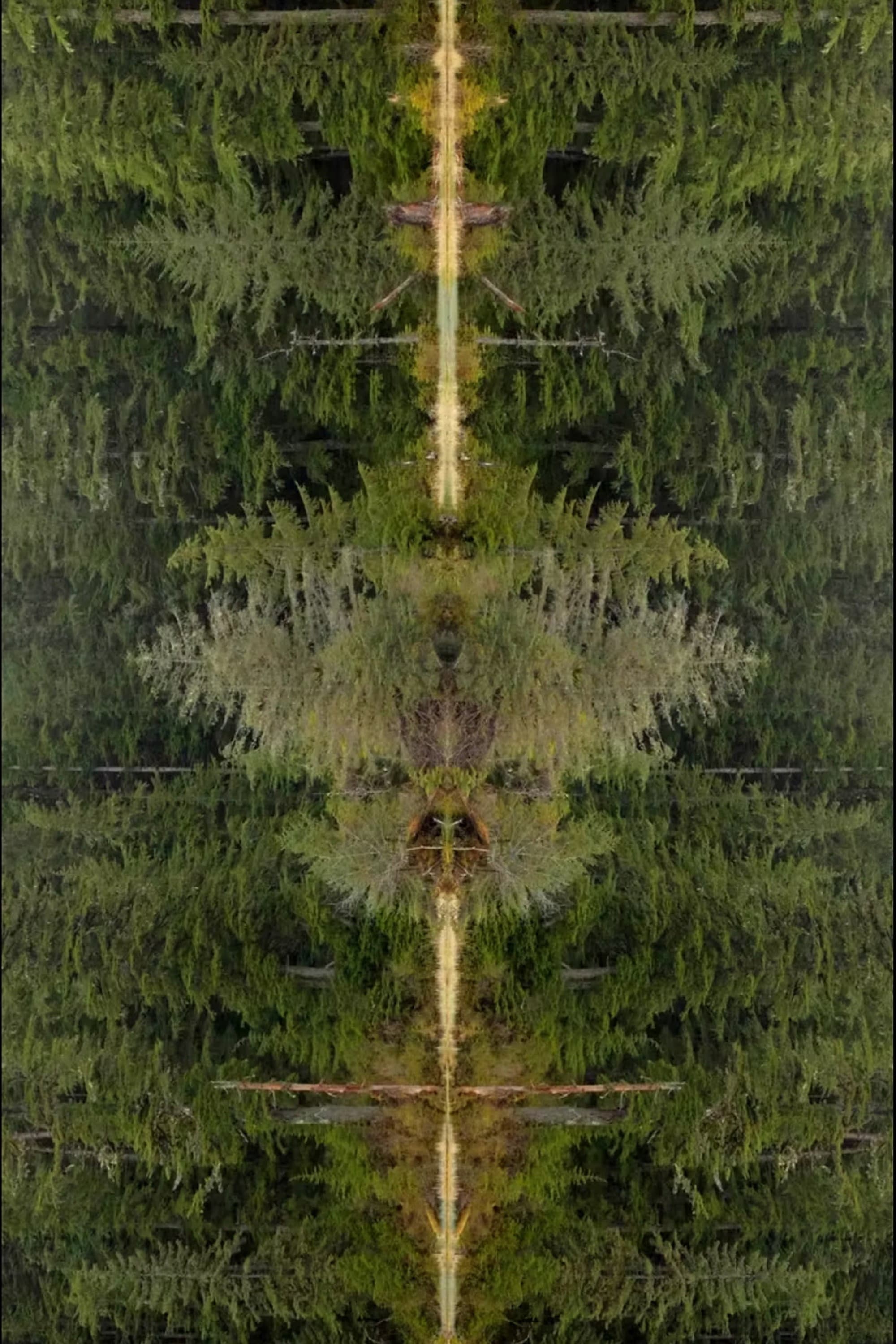 Mirrorpond