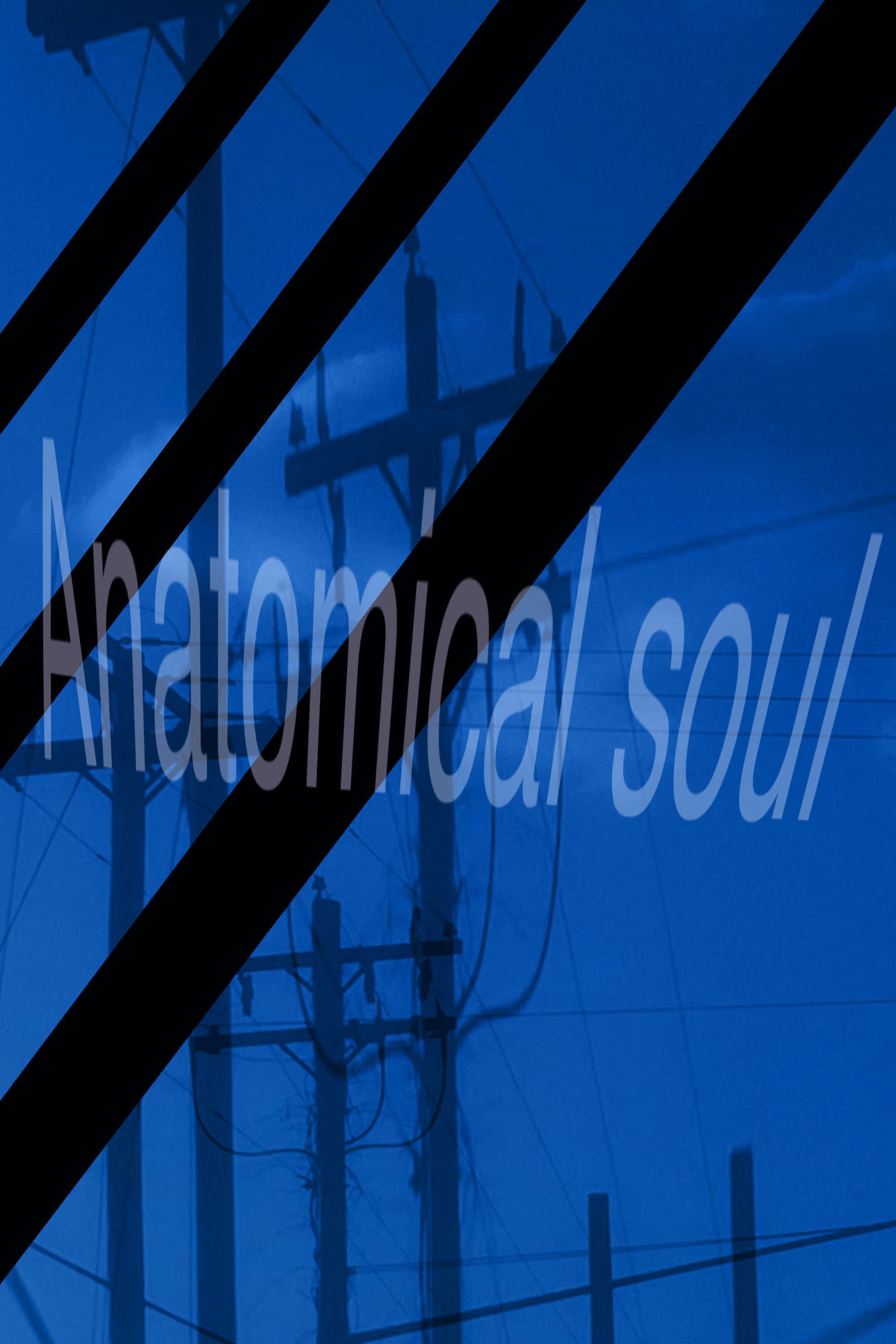 Anatomical soul