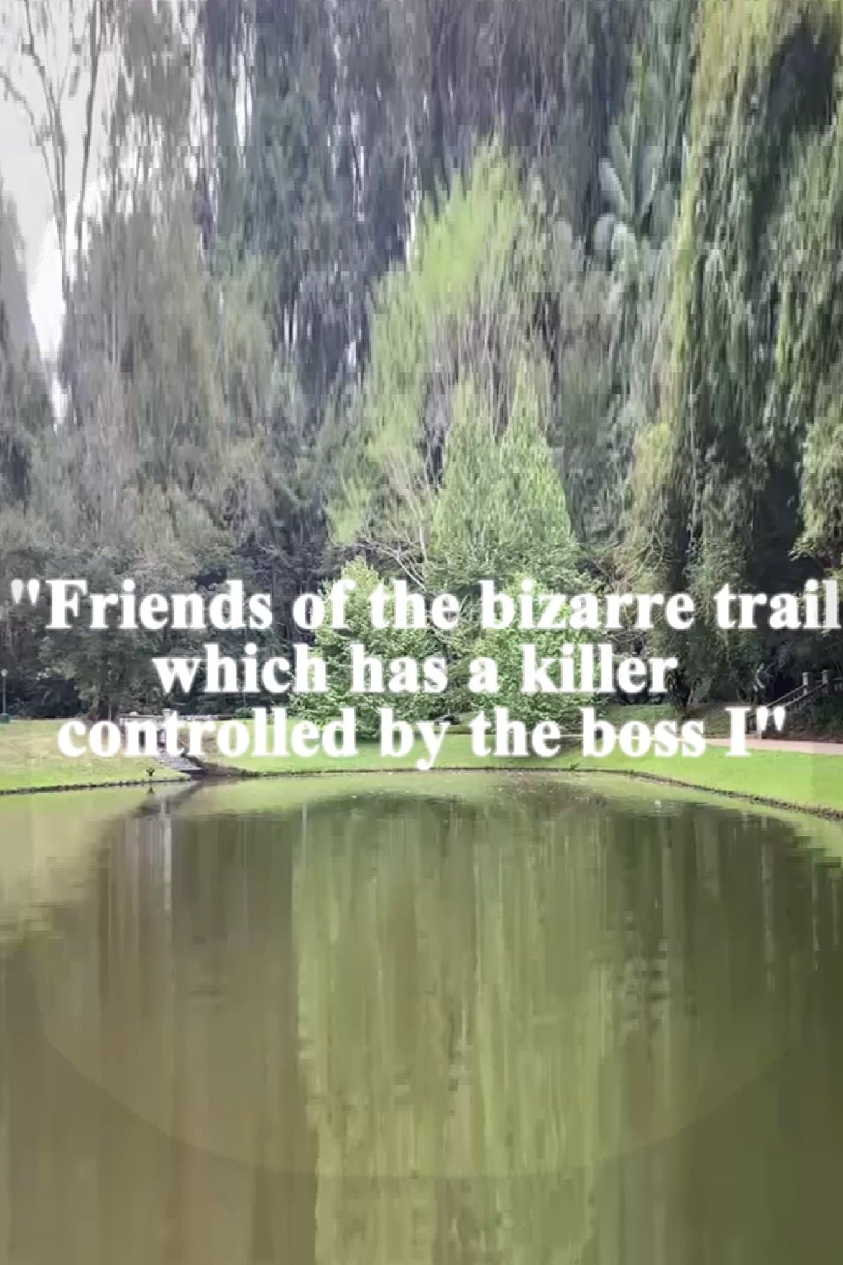 Friends of the bizarre trail which has a killer controlled by the boss I