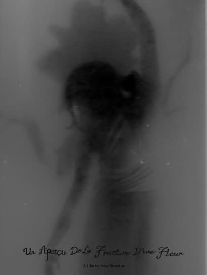 Un Aperçu De La Fracture D’une Fleur