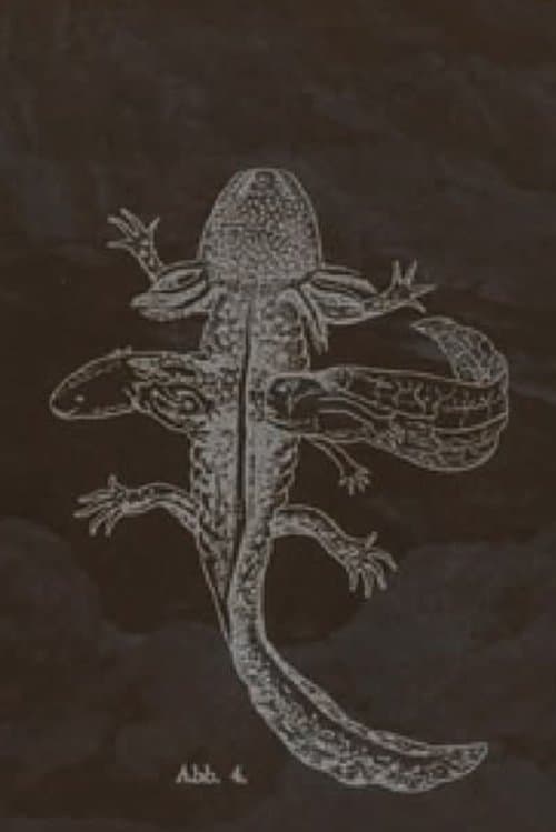 The Axolotl Stories-encounter