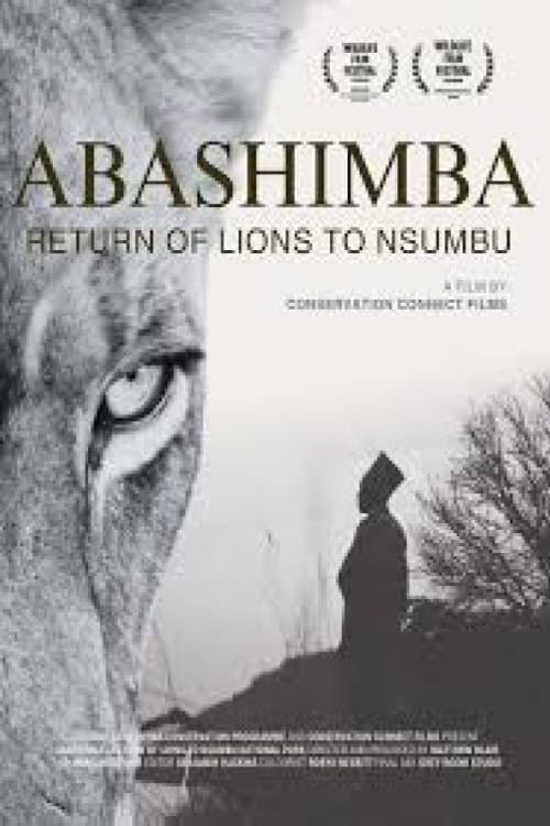 Abashimba: The Return of Lions to Nsumbu