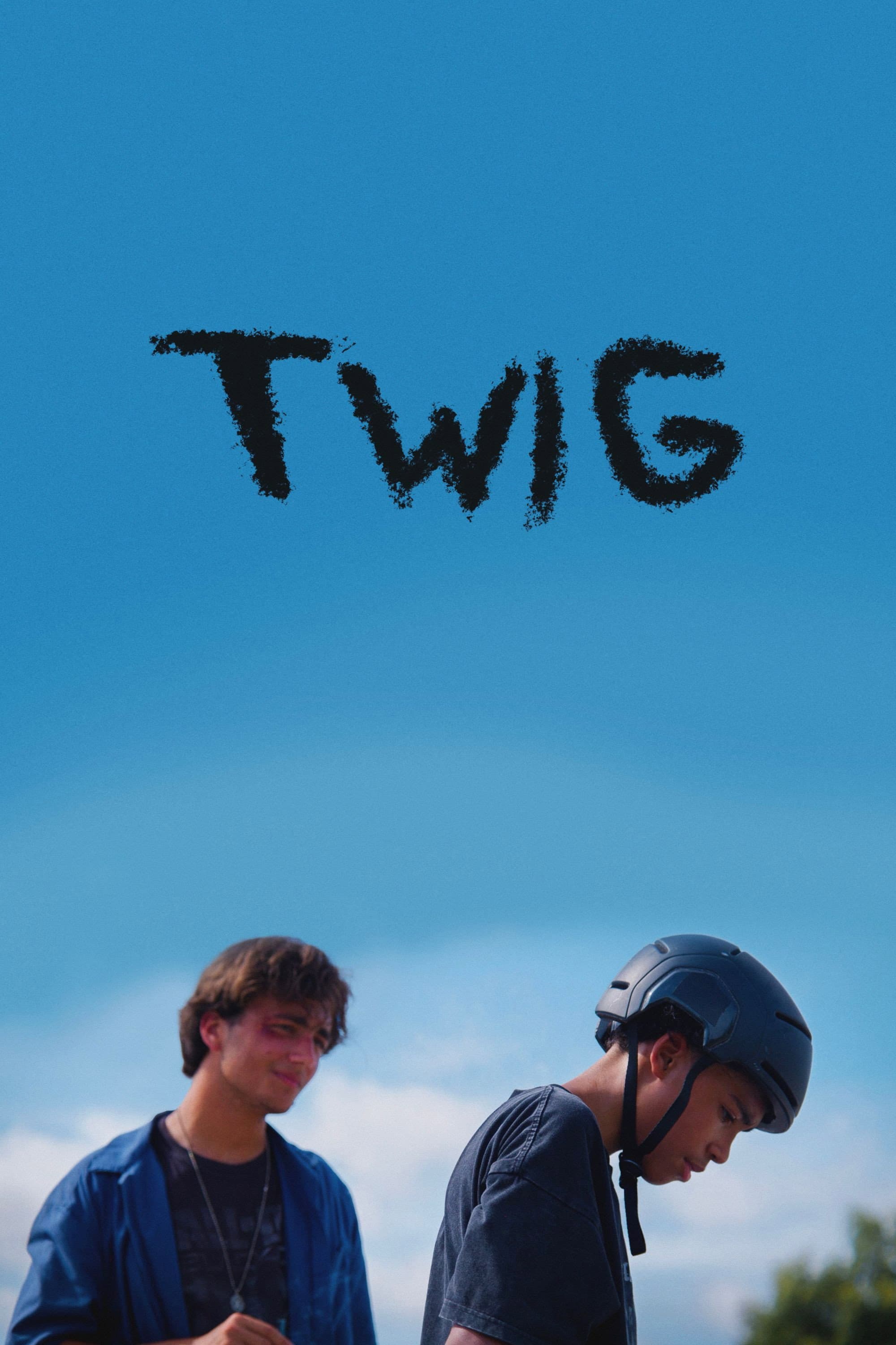 Twig